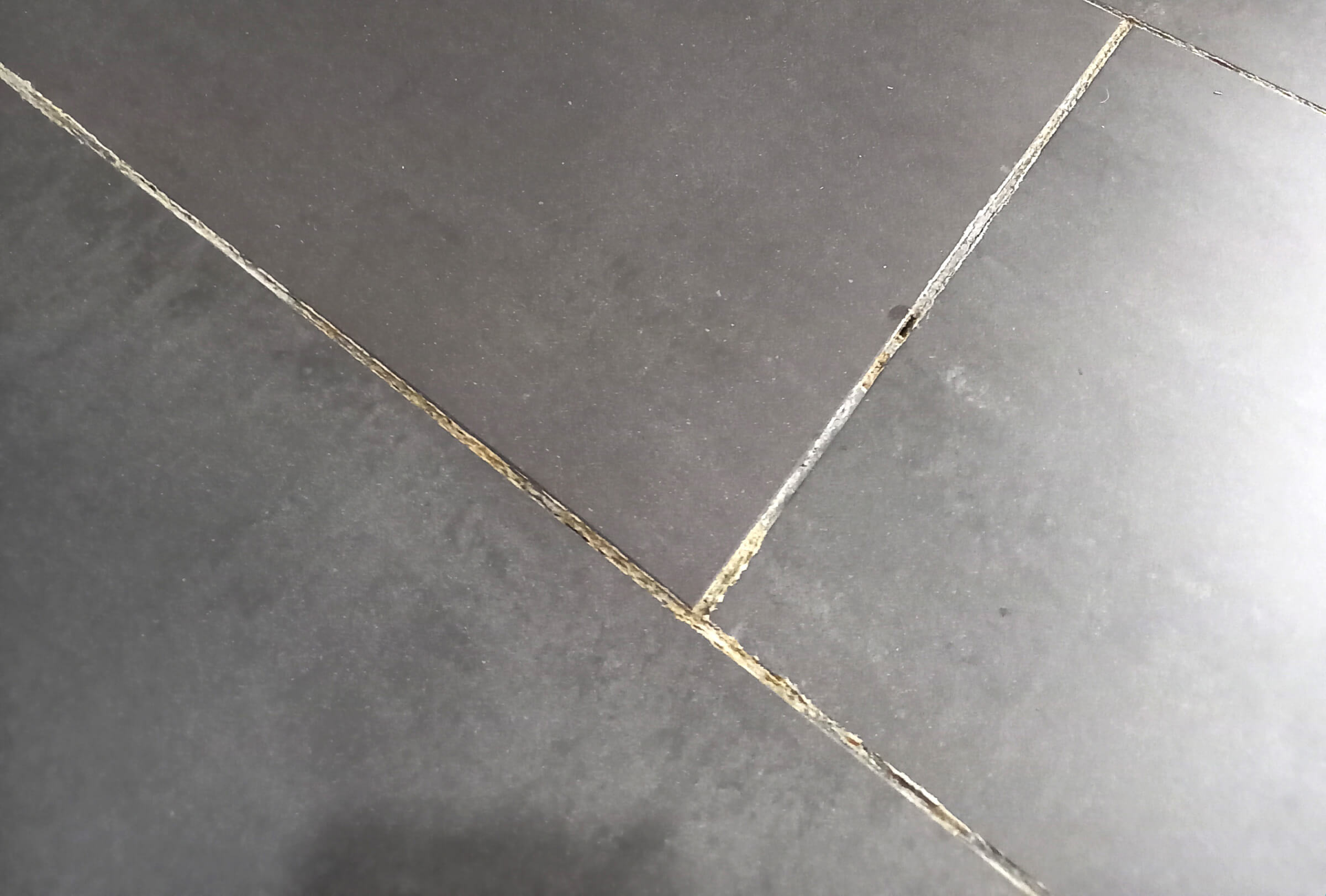 Image_Bautro_Wasserschadenerkennung_Boden_2400x1622-3