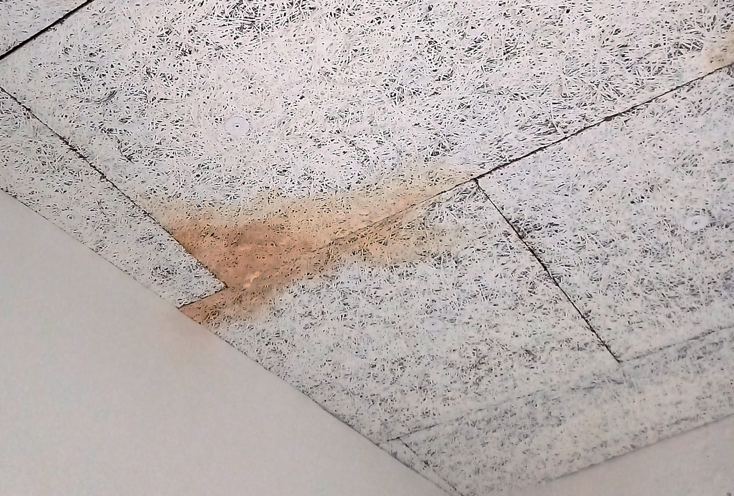 Image_Bautro_Wasserschadenerkennung_Wand_Decke_2400x1622-2